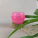 Пластиковая баночка для косметики «Грибок», розовая