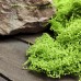 Наполнитель искусственный Мох Наполнитель искусственный Мох