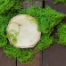 Наполнитель искусственный Мох Наполнитель искусственный Мох