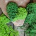 Наполнитель искусственный Мох Наполнитель искусственный Мох