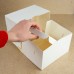 Упаковка для тортов и десертов ECO CAKE ROLL TWO WINDOW WHITE